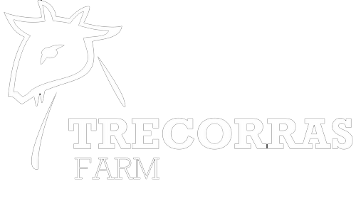 Trecorras Farm